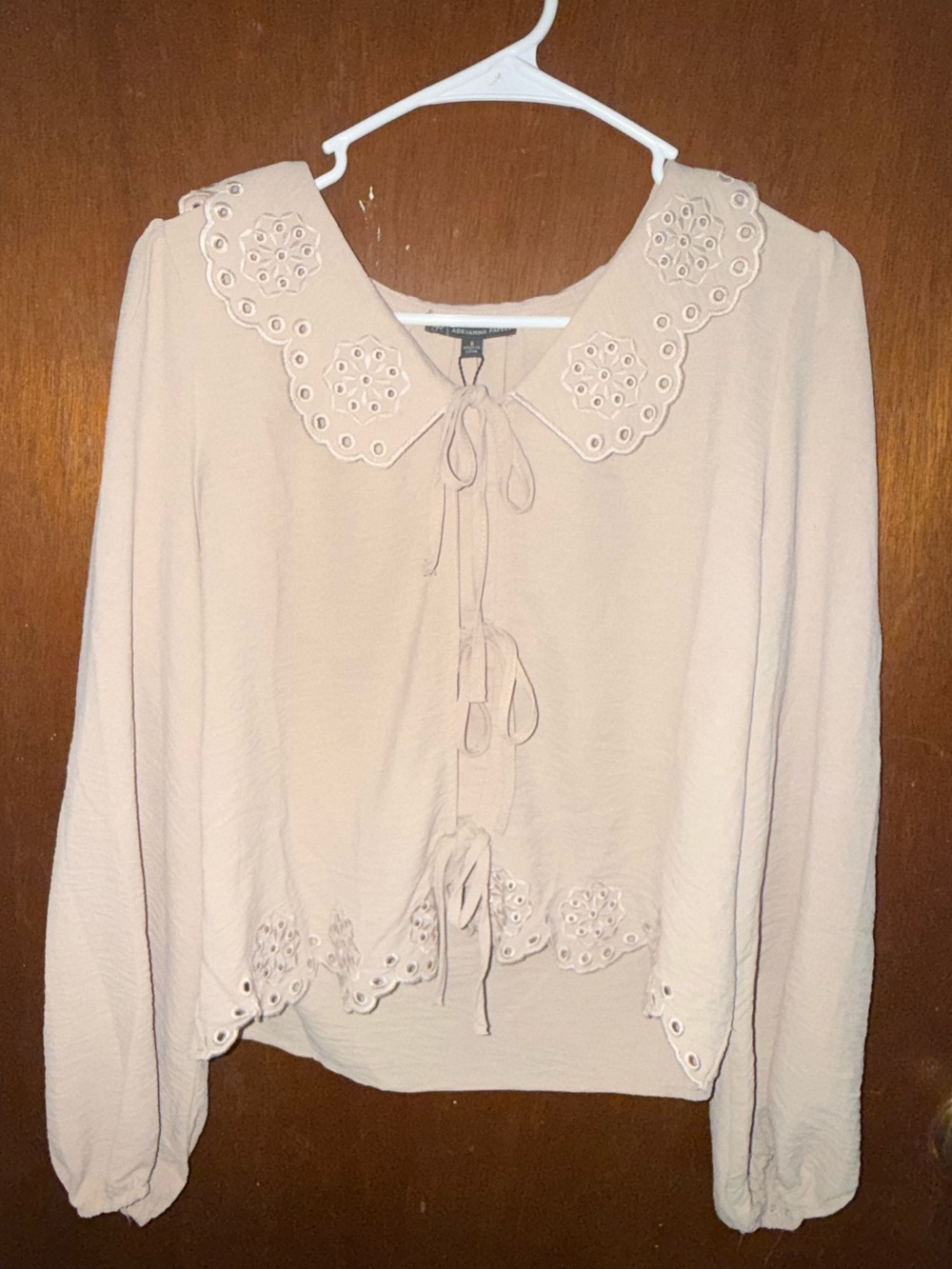 Adrianna Papell Light Cream Eyelet Tie-Front Blouse
